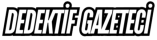 Dedektif Gazeteci